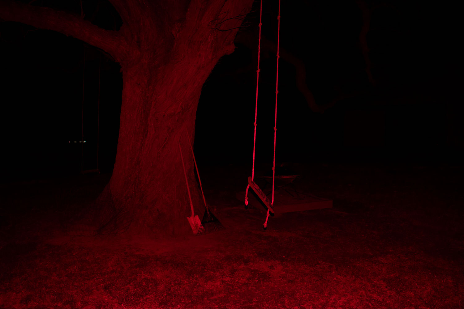 Archive unsorted image