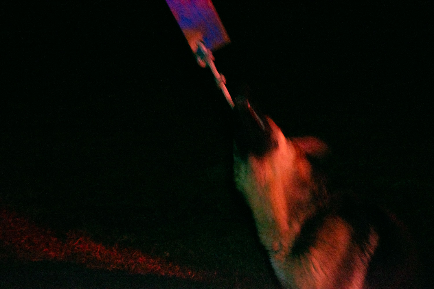 Archive unsorted image