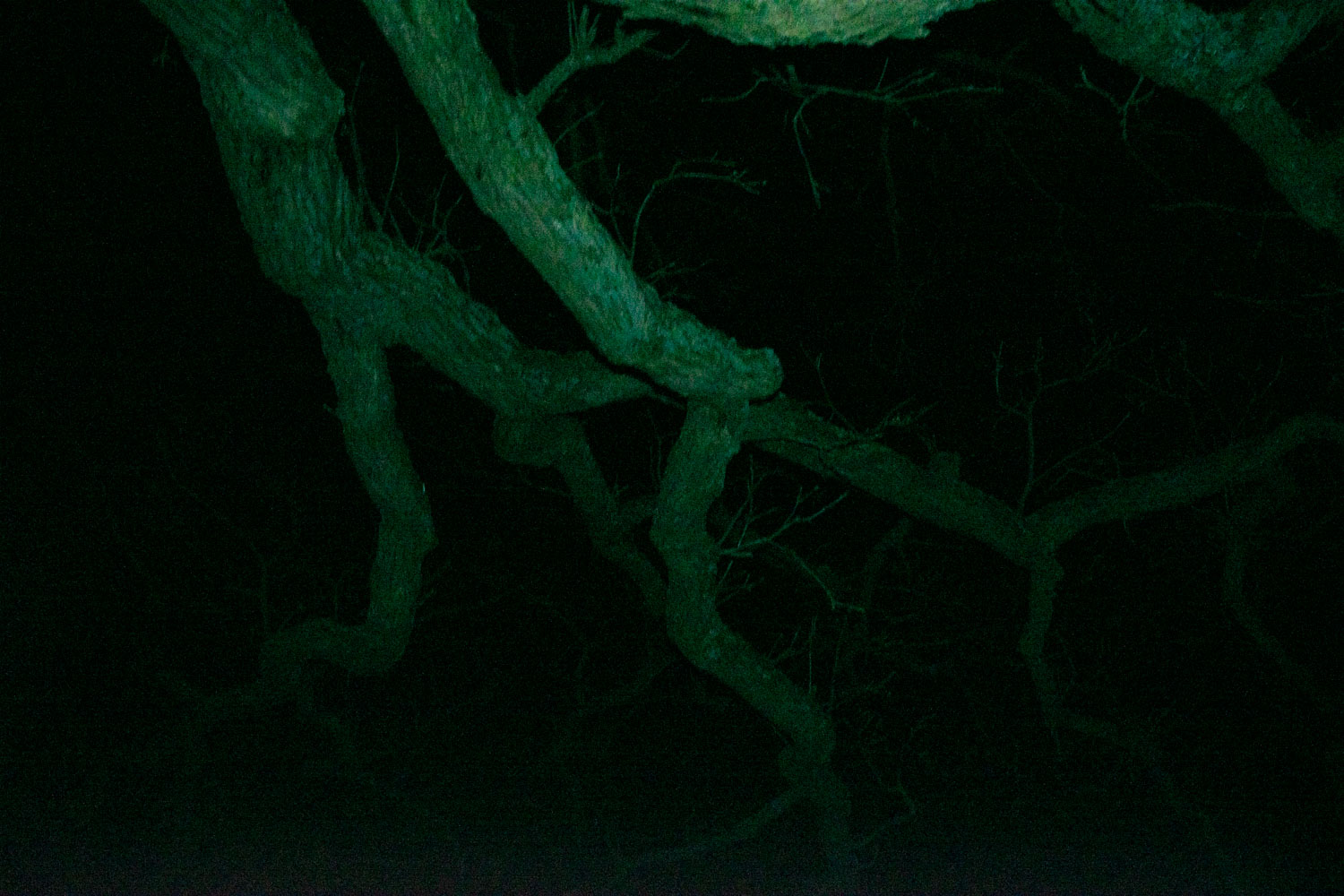 Archive unsorted image