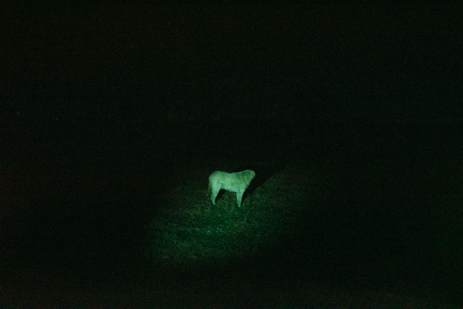 Archive unsorted image