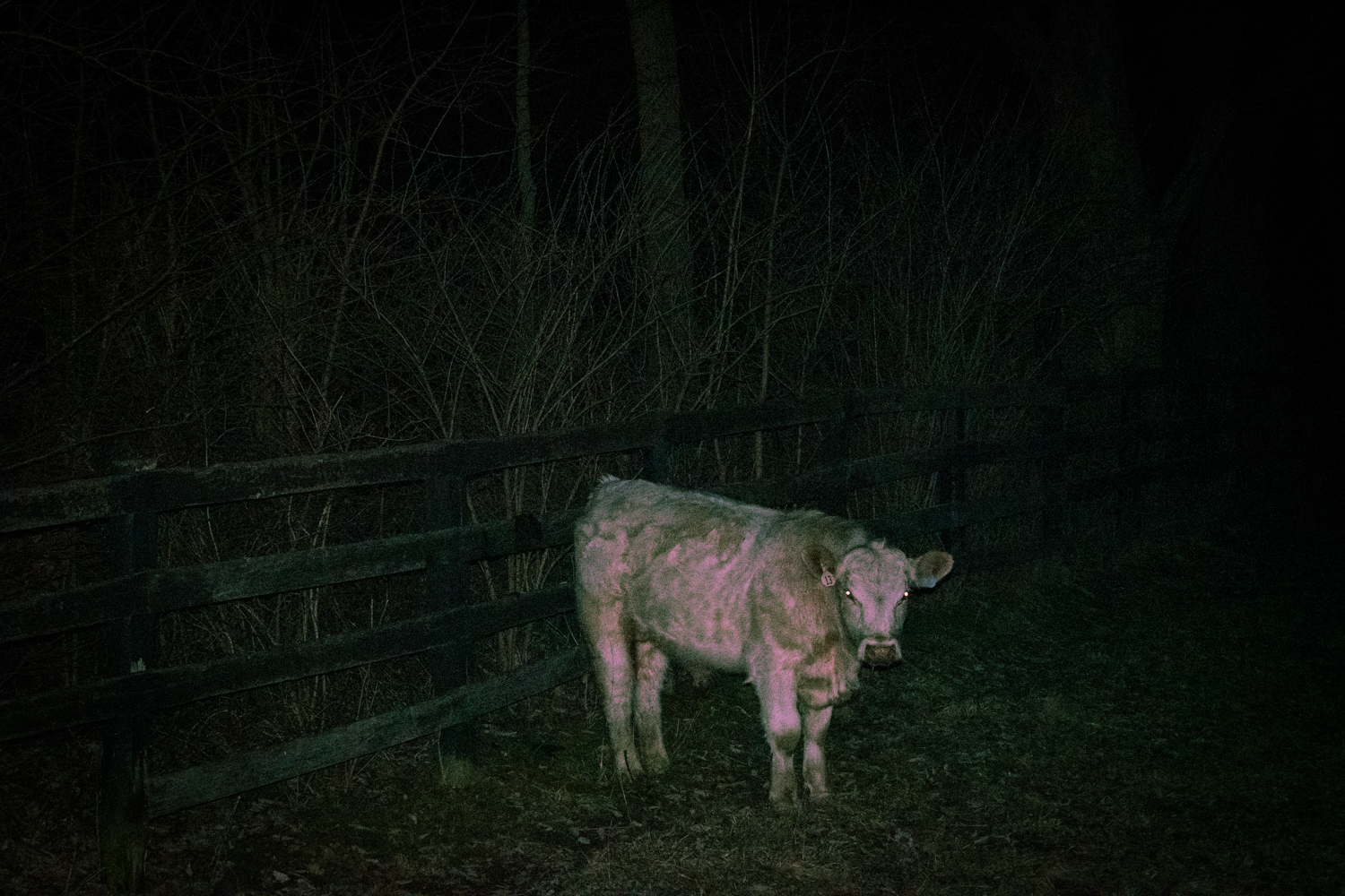 Archive unsorted image