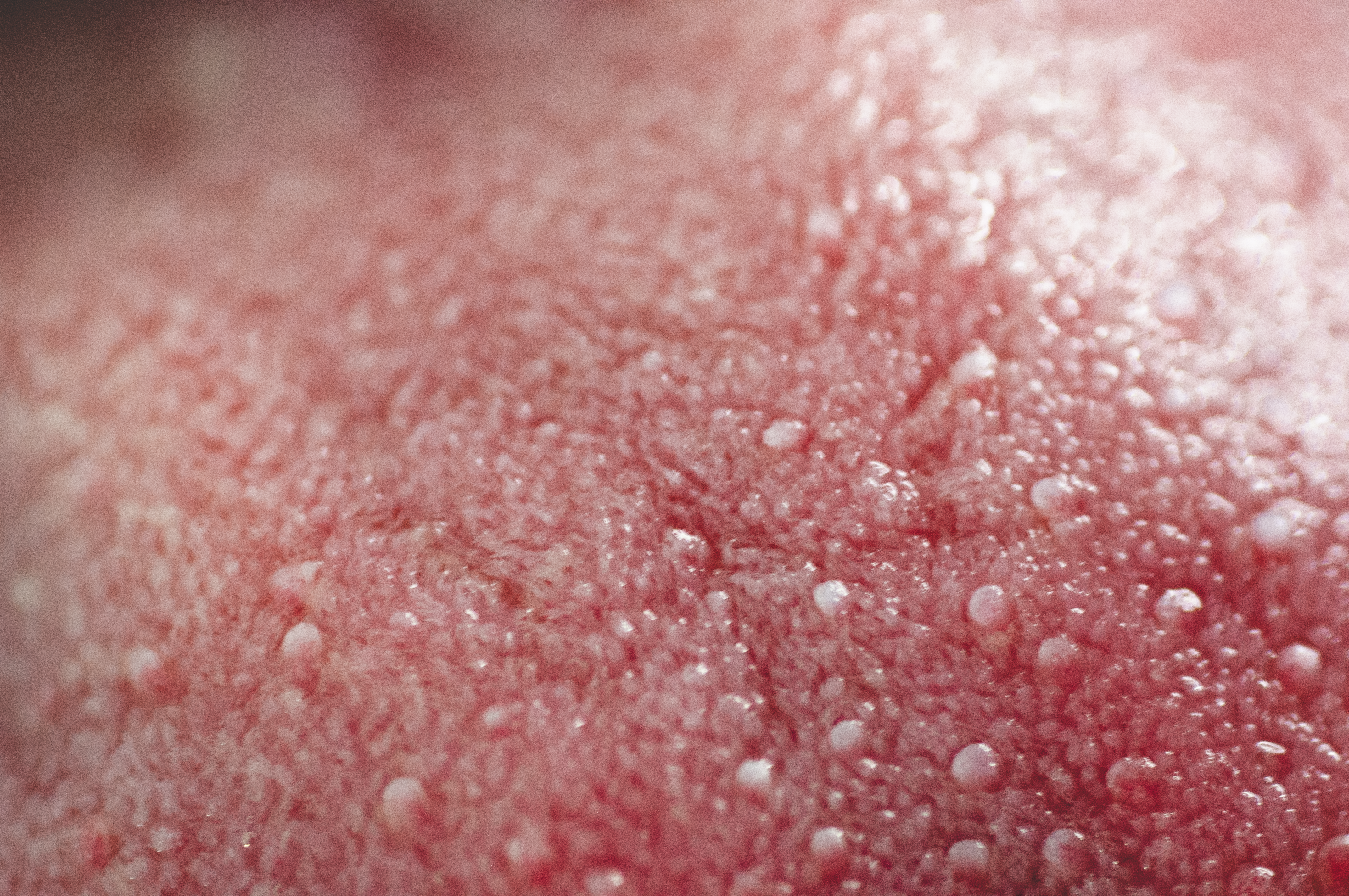 Archive unsorted image