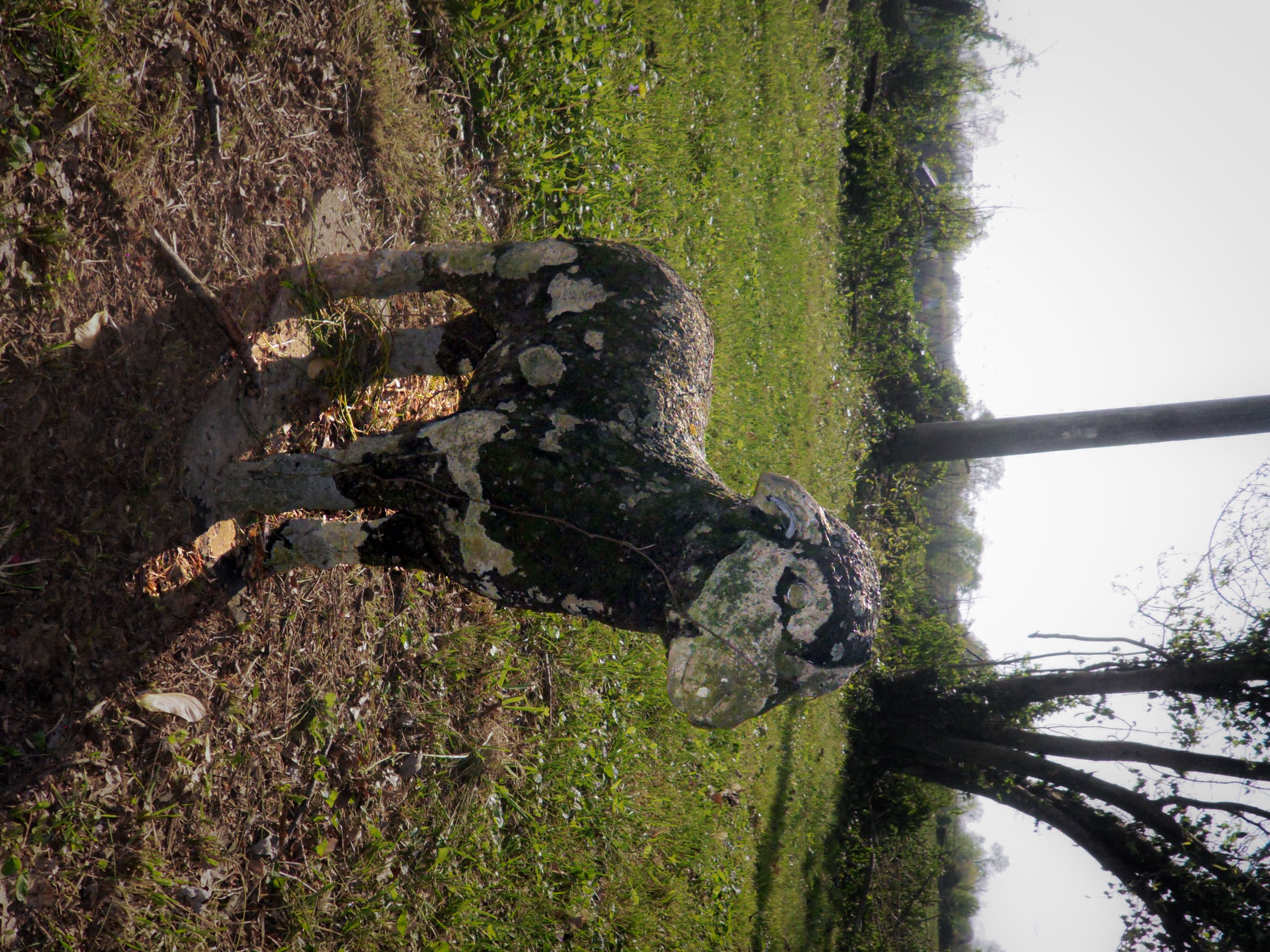 Archive unsorted image