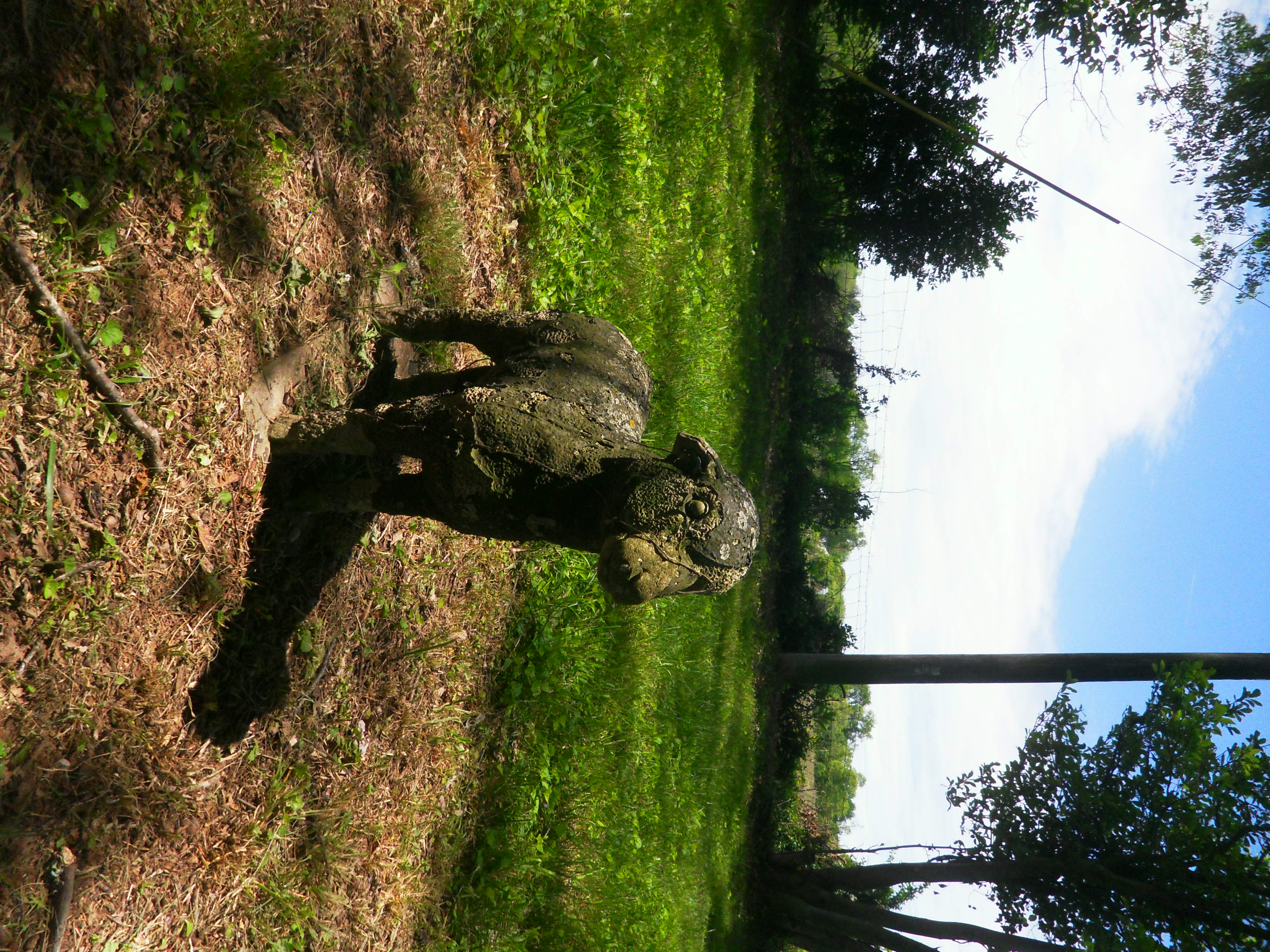 Archive unsorted image