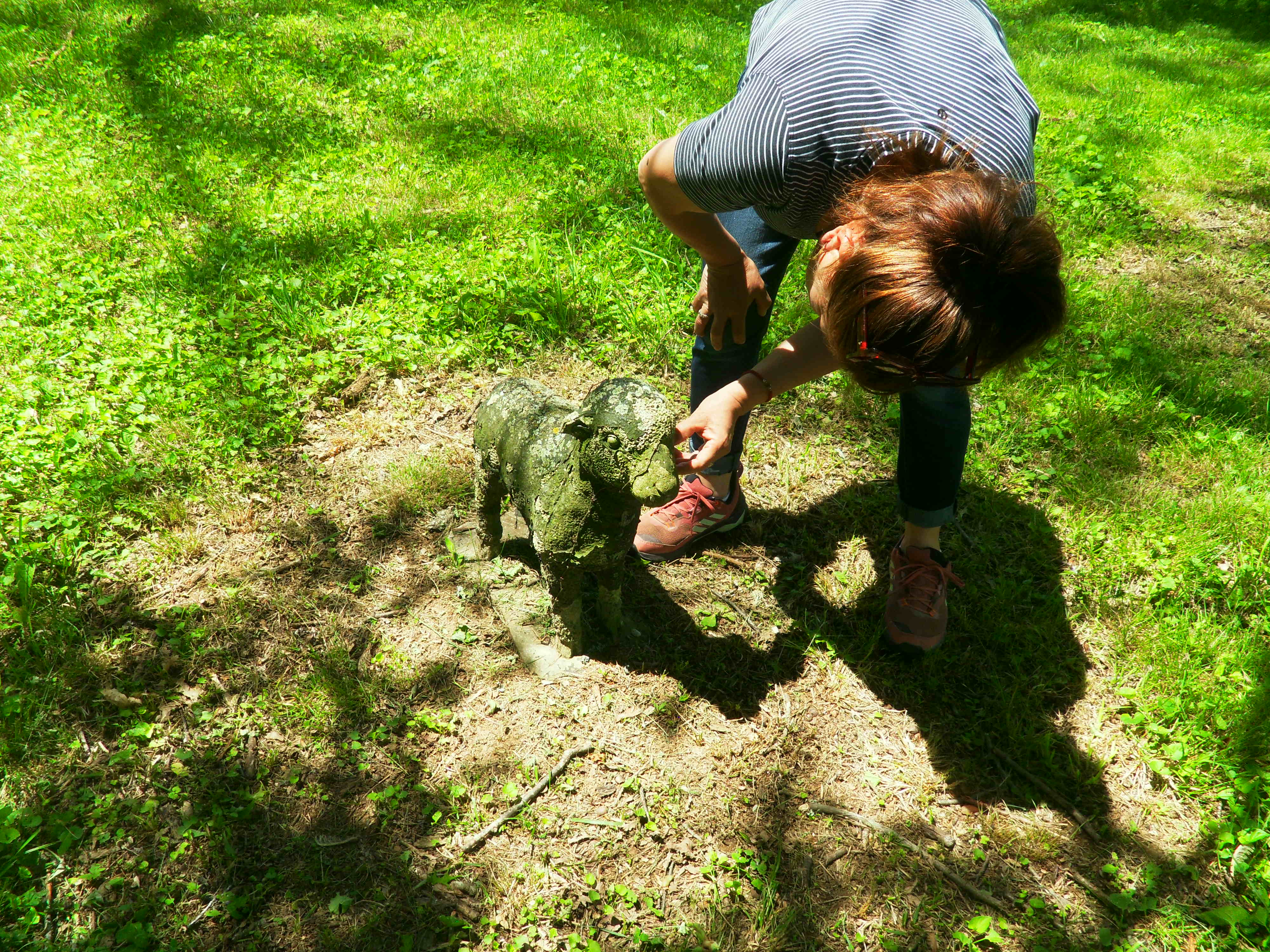 Archive unsorted image