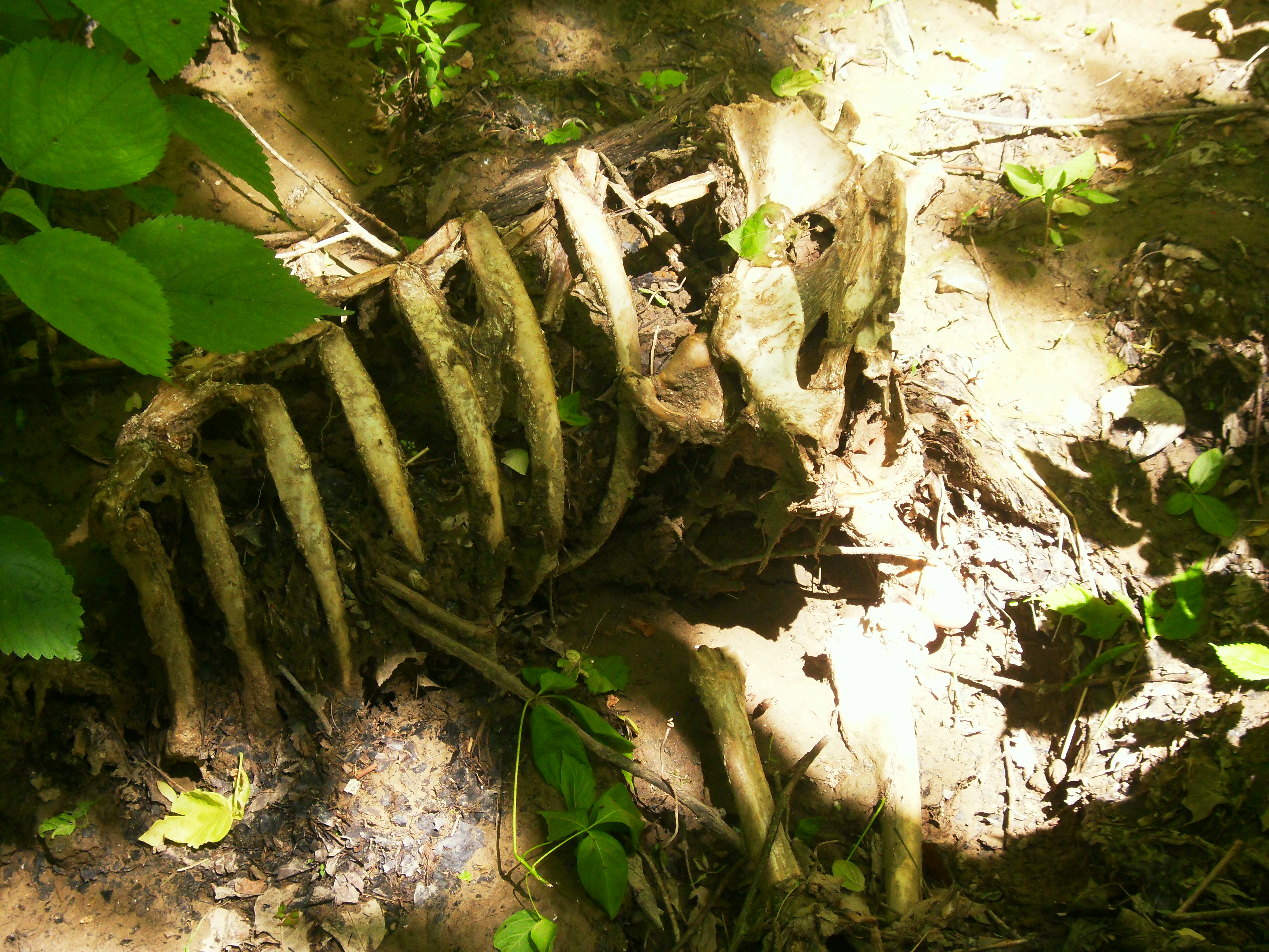 Archive unsorted image