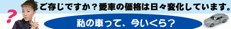 japanesead2198